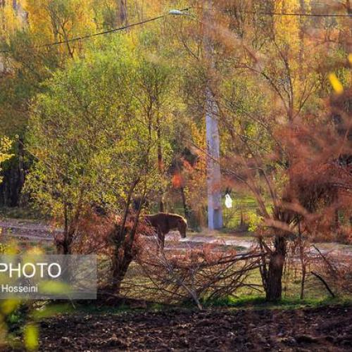 آیا توسعه گردشگری جان تازه به روستاها می‌بخشد؟