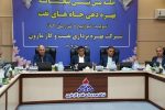 تأکید بر پایداری تولید نفت در نشست شرکت مارون