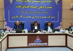 تأکید بر پایداری تولید نفت در نشست شرکت مارون