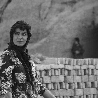 «دشت خاموش» بهترین فیلم بخش افق‌های ونیز شد