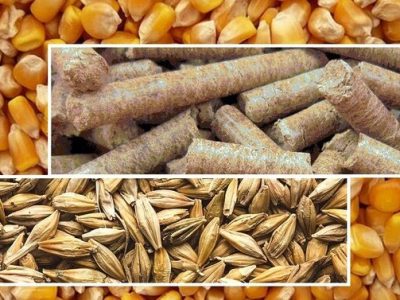 سامانه بازارگاه؛ از امید شفاف‌سازی تا بحران تأمین نهاده‌های دامی