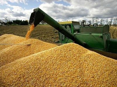 گزارش واردات گندم به ایران در هفت‌ماهه نخست سال