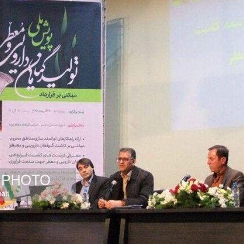 ۷۰ درصد گیاهان مهم دارویی کشور در خراسان رضوی کشت می‎شوند