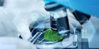 تدوین اساسنامه جدید صندوق “پشتیبانی ازفناوری های پیشرفته”/فناوری های زیستی و نانو در زیر چترحمایتی