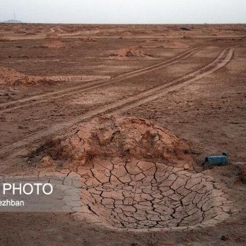 از بین رفتن ۷ هزار هکتار از نهال‌کاری کانون‌های گرد و غبار اهواز