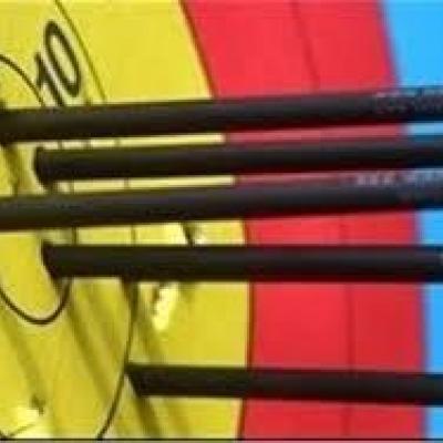 نجاری: امیدوار به کسب سهمیه ریکرو انفرادی زنان و مردان هستیم
