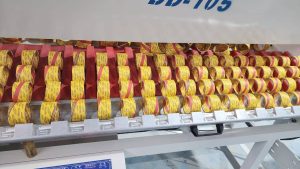 IMG 20260830 WA0018 واحد تولید انواع چسب نواری در شهرک صنعتی دیلم افتتاح شد