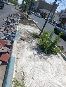 گیاهان دارویی مقاوم به خشکی راهکاری علمی برای کاهش گرمای شهری و افزایش تاب آوری بلوارها/رکسانا ضرغامپور بویراحمدی دکتری تخصصی گیاهان دارویی 4 IMG 20260610 110524 2 گیاهان دارویی مقاوم به خشکی راهکاری علمی برای کاهش گرمای شهری و افزایش تاب آوری بلوارها/رکسانا ضرغامپور بویراحمدی دکتری تخصصی گیاهان دارویی