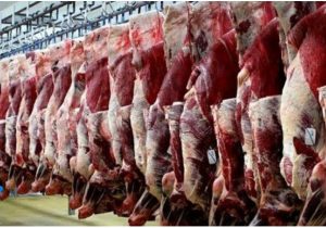 روند کاهش به بازار گوشت بازگشت؛ کاهش ۸۰ هزار تومانی قیمت دام و ورود ۵۷ هزار تن گوشت در راه است