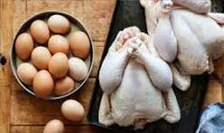 بازار پرعرضه، مصرف کم؛ چالش قیمت در صنعت مرغ و تخممرغ