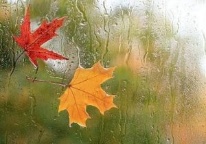 پاییز بی‌باران در تهران؛ کاهش ۸۷ درصدی بارش نسبت به سال گذشته