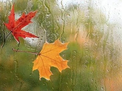 پاییز بی‌باران در تهران؛ کاهش ۸۷ درصدی بارش نسبت به سال گذشته